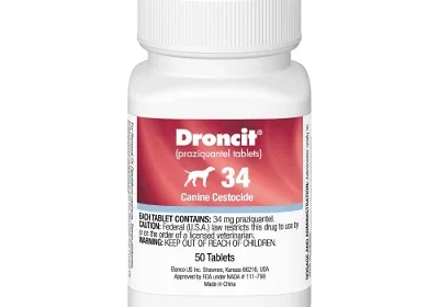 droncit-tapewormer-for-dogs-1600